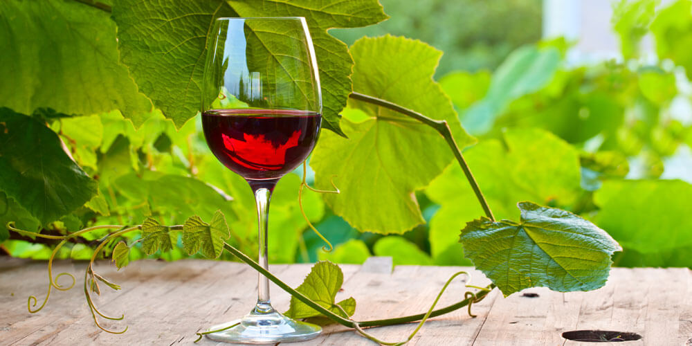 ➤ Rotwein online Portugal und bestellen aus Südafrika